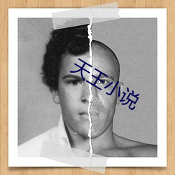 天王小說