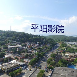 平阳影院