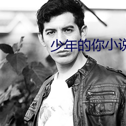 少年的你小说