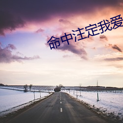 掷中注定我愛你邢昭林梁潔