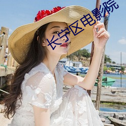 长(長)宁区(區)电(電)影院