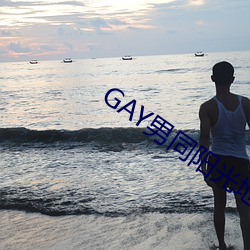 GAY男(男)同(同)阳光(光)地(地)带