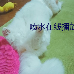 918博天堂·(中国)手机版客户端