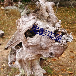 鬼影實錄