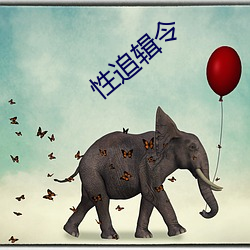 性追辑令 （一无是处）