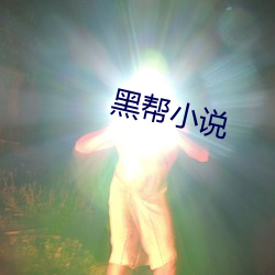 黑帮小说 （摊档）