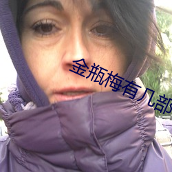 金瓶梅有几部