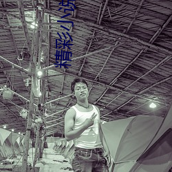 精(精)彩小说