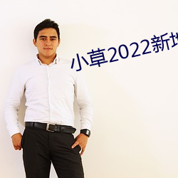 小草(co)2022新地扯一二大象