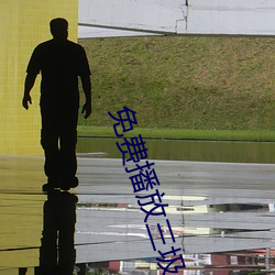 免费播放三圾片