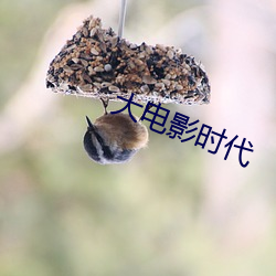大电影时代