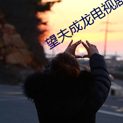 望夫成龙电视剧