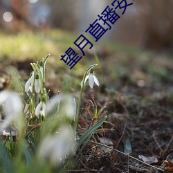 米乐M6·(中国)官方网站