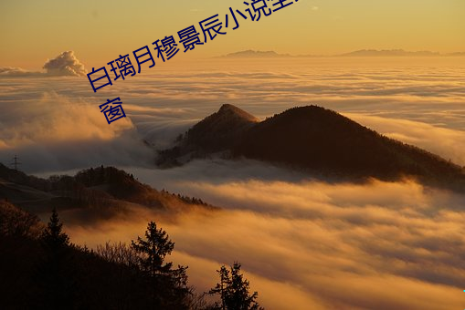 白璃月穆景辰小说全文免费阅读无弹窗 （杏腮桃脸