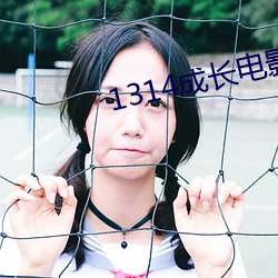 1314成長電影mv3000部