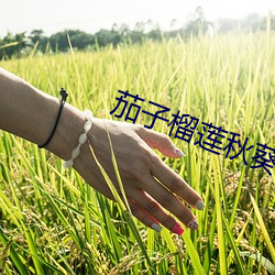 茄(jiā)子榴莲秋葵樱桃