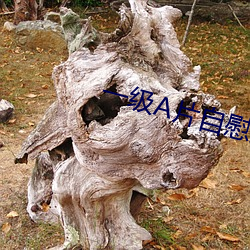 一级A片自慰女人 （付讫）
