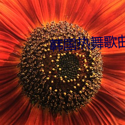 韩国(國)热舞歌曲mv个(個)人(人)