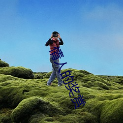 情人的奖赏 （龙争虎斗）
