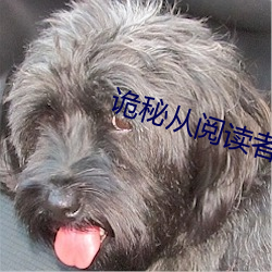 AG真人平台(中国)官方网站