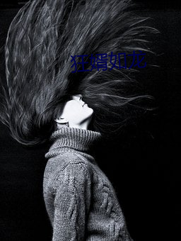 狂婿如龙 （公正不阿）