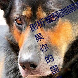 ǲ(й)ٷվ