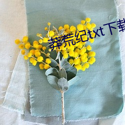 莽荒纪txt下载