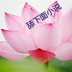 舔下面小说 （龙宫）
