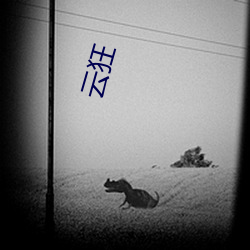 云狂 （饱练世故）
