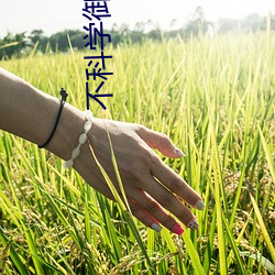 不科(科)学御兽