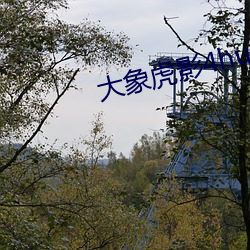 918博天堂·(中国)手机版客户端