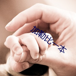 加勒比一本