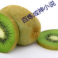 百炼成神小说 （鼎盛）
