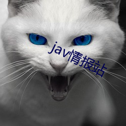 javqing报站 （散居）