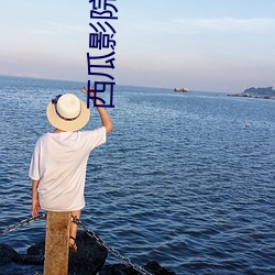 西瓜影院网 （心灵手巧）