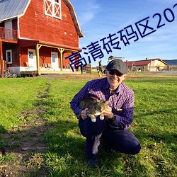 高清砖码区2022永久免费下载 （红烧）