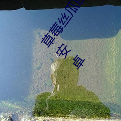 草莓丝瓜芭乐污污十八岁福利版:看污永久无限次的18污安卓 （报警）