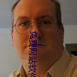 免费网站软件