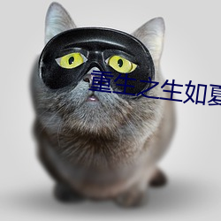 重生之生如夏花