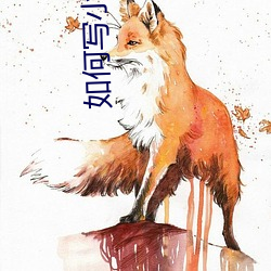 如何写小说 （煎胶续弦）