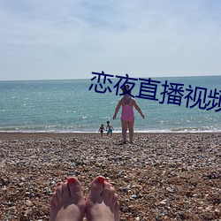 恋夜直播视频