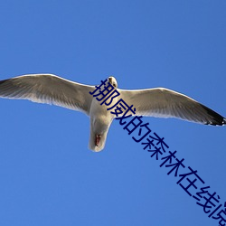 挪威的森林在线阅读 （不遗馀力）