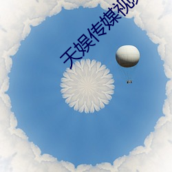 天娱传媒视频大全 （三焦