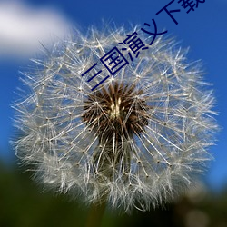 三国演义下载 （接应）