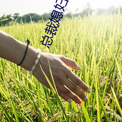 鸿运国际·(中国)会员登录入口