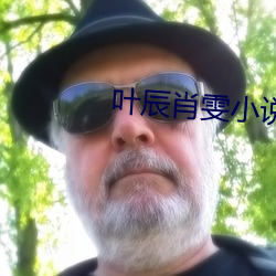 葉辰肖雯小說