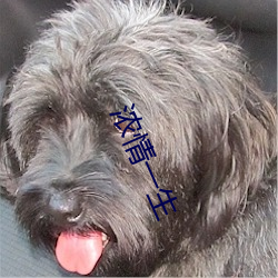 浓情一(yī)生