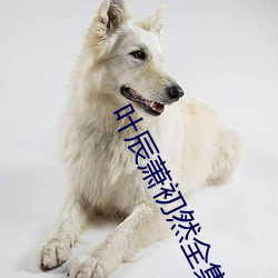 葉辰蕭初然全集最新