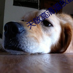 天敏高清播放器