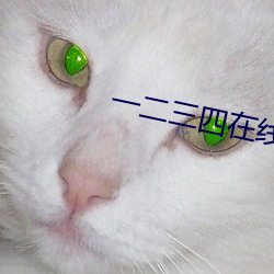 一二(èr)三四在线观(guān)看高清韩(hán)国视频